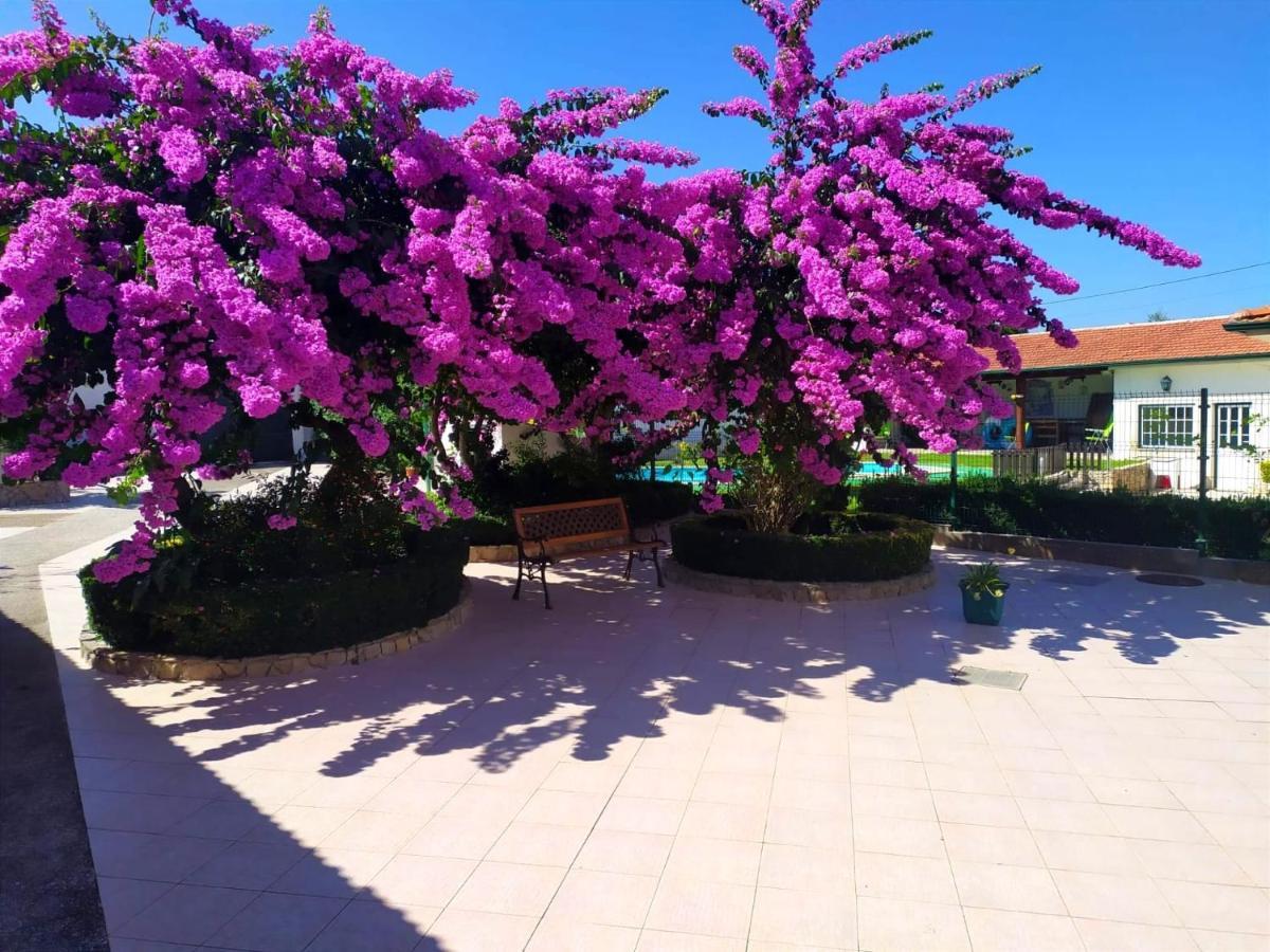 Вилла Qm - Quinta Da Morgadinha - Casa Em Quinta Rural Cabecos Экстерьер фото
