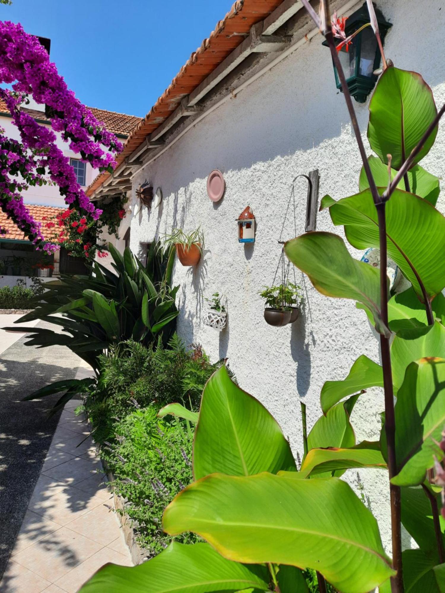 Вилла Qm - Quinta Da Morgadinha - Casa Em Quinta Rural Cabecos Экстерьер фото