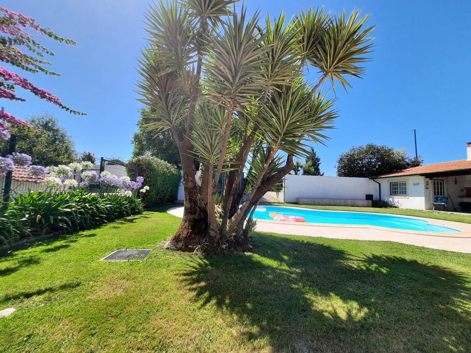 Вилла Qm - Quinta Da Morgadinha - Casa Em Quinta Rural Cabecos Экстерьер фото